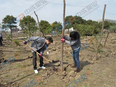 2012.3.12中成泵業(yè)植樹節(jié)活動報道